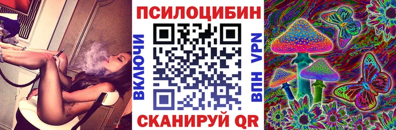 Псилоцибиновые грибы Cubensis  shop формула  Энем 